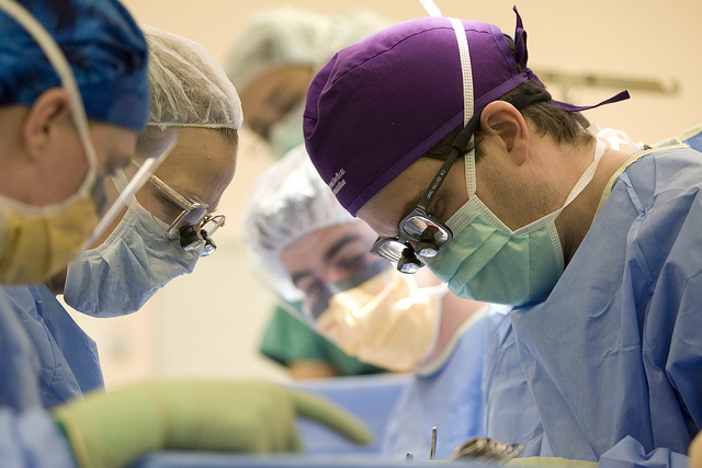 Transplant surgeons at work Transplant surgeons at work